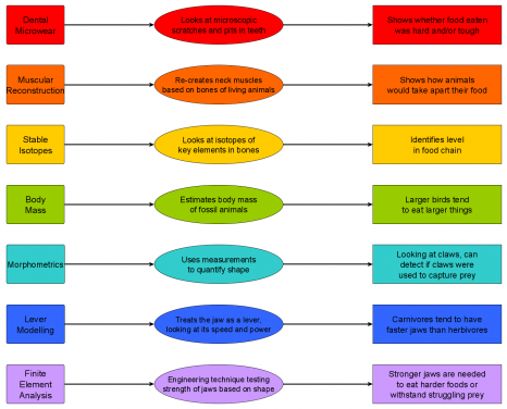 Figure 2. Simplified version of the framework proposed by Miller & Pittman. From left to right: name of the technique, brief description, and what it can tell about diet. See Figure 8 of the published paper for a more detailed version. Image credit: Case Vincent Miller & Michael Pittman.
 